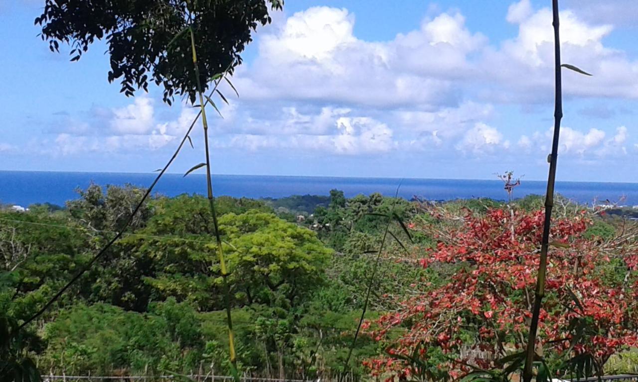 B&B El Mirador Al Mar Sosúa Εξωτερικό φωτογραφία