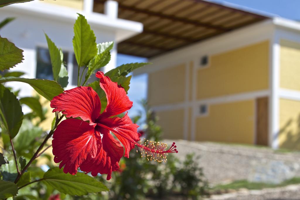 B&B El Mirador Al Mar Sosúa Εξωτερικό φωτογραφία